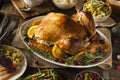 Whole Homemade Thanksgiving Turkey Royalty Free Stock Photo