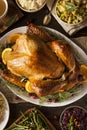 Whole Homemade Thanksgiving Turkey Royalty Free Stock Photo