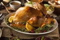 Whole Homemade Thanksgiving Turkey Royalty Free Stock Photo