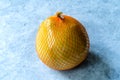 Whole Honey Pomelo Fruit in Plastic Net Bag for Sale Royalty Free Stock Photo