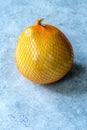 Whole Honey Pomelo Fruit in Plastic Net Bag for Sale Royalty Free Stock Photo