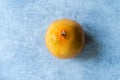 Whole Honey Pomelo Fruit in Plastic Net Bag for Sale Royalty Free Stock Photo