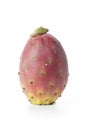 Whole Indian Fig Opuntia