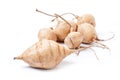 Whole Jicama isolated Royalty Free Stock Photo