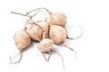 Whole Jicama isolated Royalty Free Stock Photo
