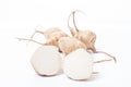 Whole Jicama isolated Royalty Free Stock Photo