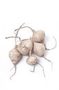Whole Jicama isolated Royalty Free Stock Photo
