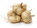Whole Jicama Royalty Free Stock Photo