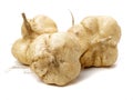 Whole Jicama Royalty Free Stock Photo