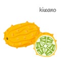 Whole kiwano in the skin and cut half with seeds and pulp. Exotic, tropical fruit icon. Tropical cucumber. Flat style