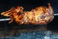 Whole lamb baked on a spit