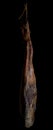 Whole leg of Spanish Iberian serrano ham hanging on a rope. On black background Royalty Free Stock Photo