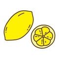 Whole lemon and half next to it. Vector doodle