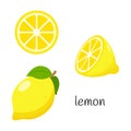 Whole lemon with leaves, half and slice. Citrus fruit icon. Flat design. Color vector illustration isolated on a white Royalty Free Stock Photo