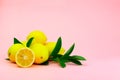 Whole lemons and sliced lemon with green leaves on a pink background Royalty Free Stock Photo