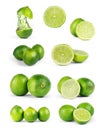 Whole lime fruit and slices isolated on white background with cl Royalty Free Stock Photo