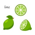 Whole lime with leaves, half and slice. Citrus fruit icon. Flat design. Color vector illustration isolated on a white Royalty Free Stock Photo