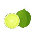Whole lime and sliced lime. Realistic vector illustration. Isolated on white background. Royalty Free Stock Photo