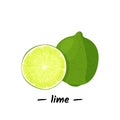 Whole lime and sliced lime. Realistic vector illustration. Isolated on white background. Royalty Free Stock Photo