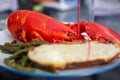 Whole lobster meal Royalty Free Stock Photo