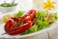 Whole lobster with salad Royalty Free Stock Photo