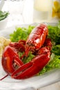 Whole lobster with salad Royalty Free Stock Photo