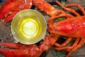 The whole lobster steamed, served with drawn butter on wooden plate. Close up Royalty Free Stock Photo