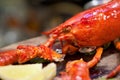 The whole lobster steamed, served with lemon on wooden plate. Close up Royalty Free Stock Photo