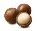 Whole macadamia nuts isolated on white background