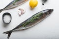 Whole mackerel fish with ingredients on white textured background Royalty Free Stock Photo