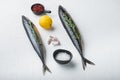 Whole mackerel fish with ingredients on white textured background with copy space Royalty Free Stock Photo