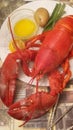 Whole maine lobster dinner Royalty Free Stock Photo