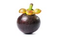 Whole mangosteen tropical fruit isolated