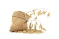 Whole oats grains with hulls spilling from jute bag Royalty Free Stock Photo