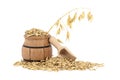 Whole oats grains with husk in wooden barrel over white