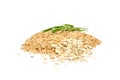 Whole Oats, Oat Flakes And Ear of Oats Royalty Free Stock Photo