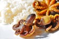 Whole octopi and rice. Royalty Free Stock Photo