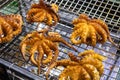 Whole octopus on grill, night street food closeup. South asian street food. Seafood grilled on metallic net