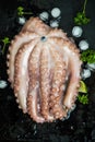 Whole octopus ready for grill