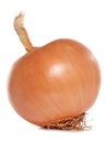 Whole onion