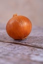 A whole onion on a wooden surface background