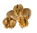 Whole and open fresh Walnuts Royalty Free Stock Photo