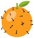 Whole orange fruit studded with dark cloves and a green leaf on a stalk Royalty Free Stock Photo