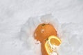 Whole orange and half orange fruit refrigerate in the snow-drift at garden