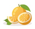 Whole orange with a leaf, half an orange and a slice. Isolated citrus fruit on white background. Juicy and sweet