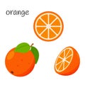 Whole orange with leaves, half and slice. Citrus fruit icon. Flat design. Color vector illustration isolated on a white Royalty Free Stock Photo