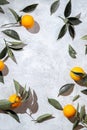 Whole oranges with orange tree leaves on white background with space for text. top view, flat lay, summer and healthy Royalty Free Stock Photo