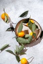 Whole oranges witl orange tree leaves in gray plate. on white background top view, flat lay, summer and healthy concept.