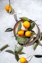 Whole oranges witl orange tree leaves in gray plate. on white background top view, flat lay, summer and healthy concept. Royalty Free Stock Photo