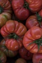 Whole organic tomatoes Raf Coeur De Boeuf. Raw fresh tomatos